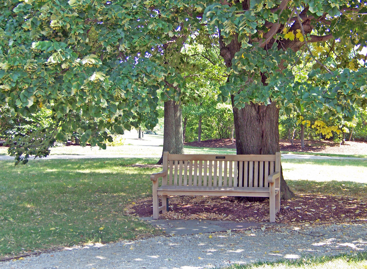 ספסל עץ לגינה